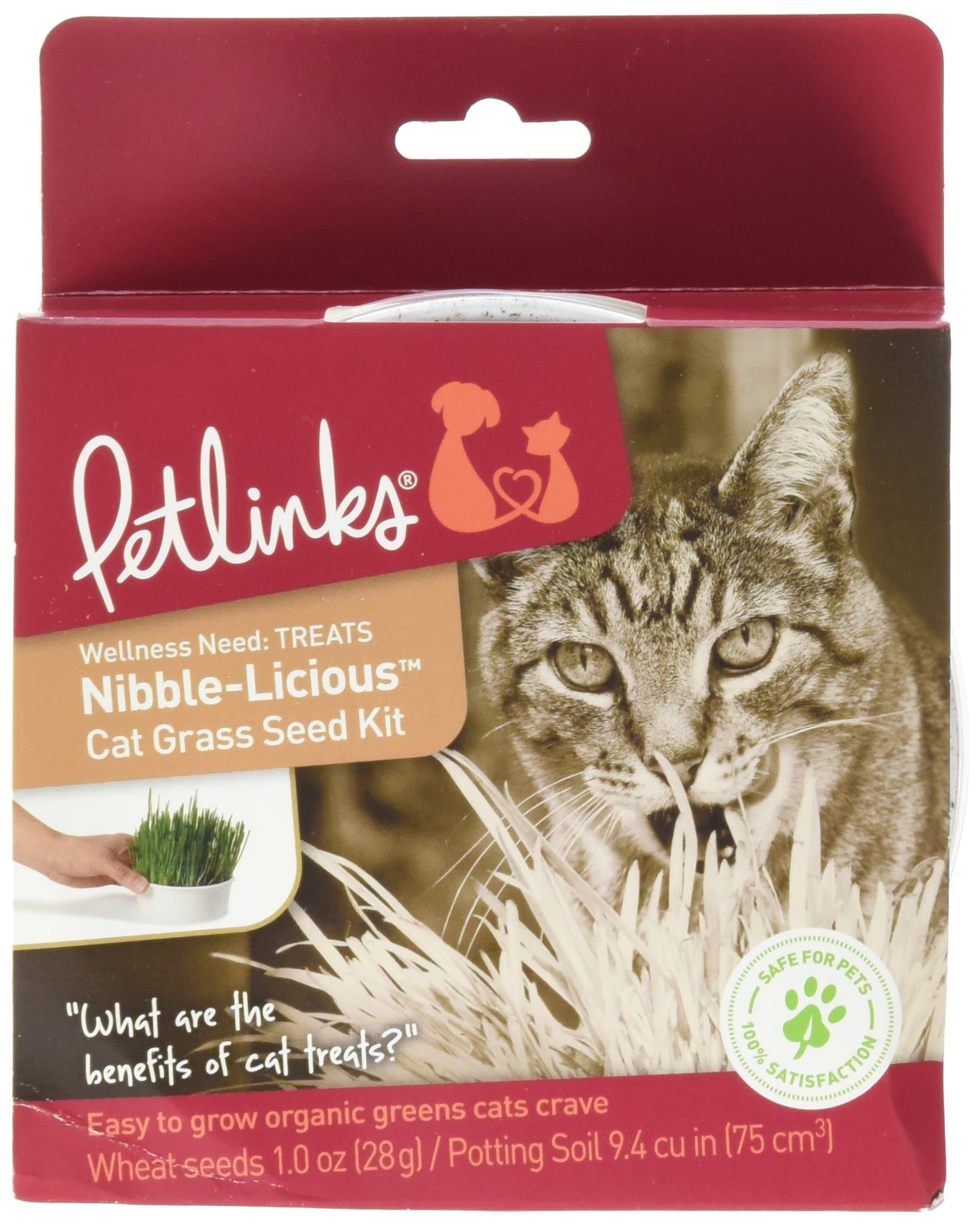 Petlinks Nibble-Licious Cat Grass Kit, Red, 1 oz (49700-99987-024)