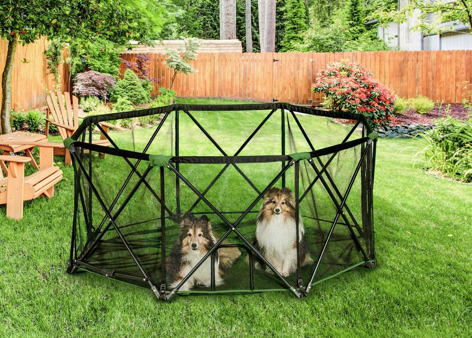 Carlson 8-Panel Foldable and Portable Steel Pet Exercise and Play Pen, with Carrying Case, Green