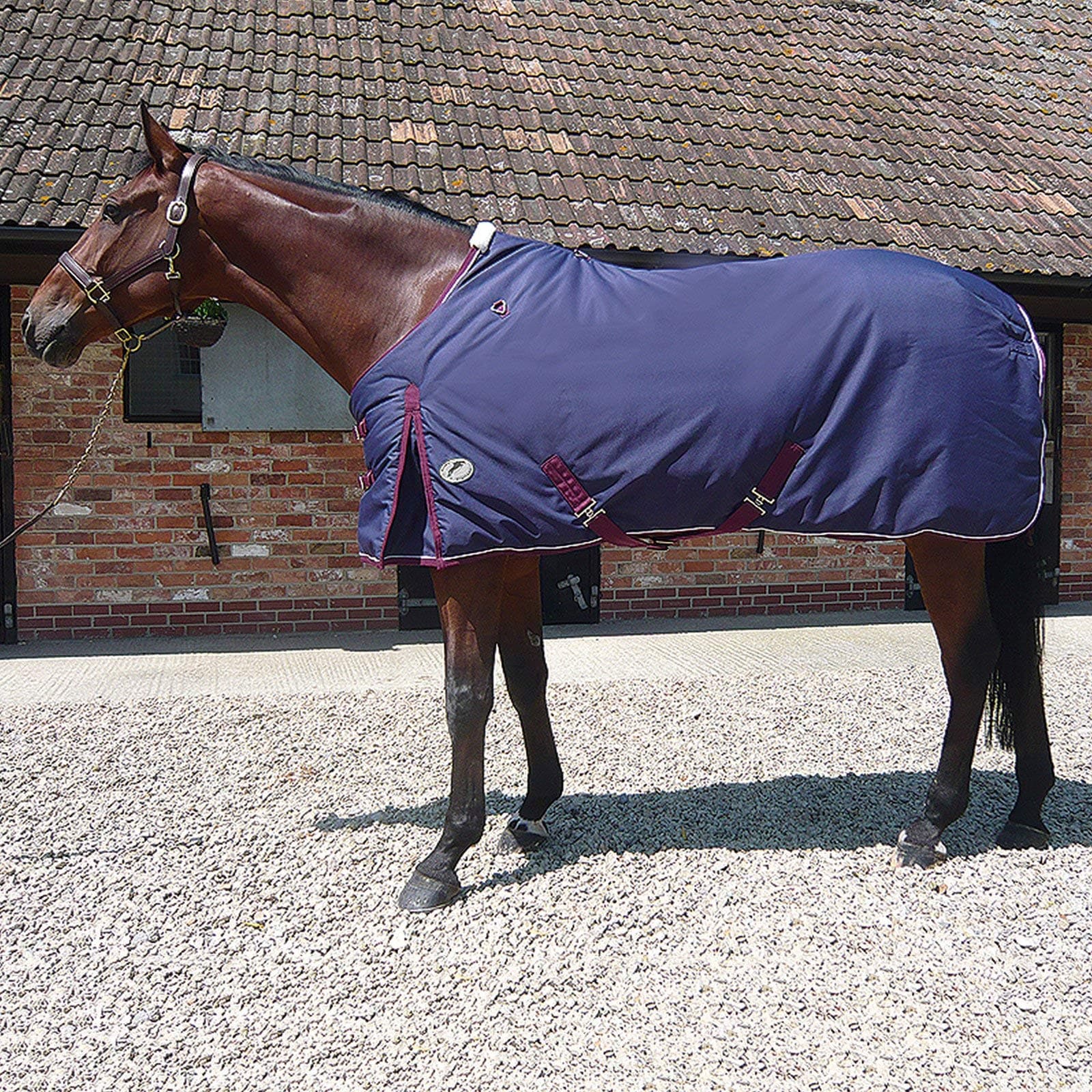 JHL Heavyweight Stable Rug(Navy, 5ft9)