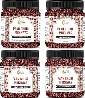 Organic Nature Homemade Paan Churi Mukhwas Mouth Freshener (Jar Pack) (1200 Grams (Pack of 4 of 300 Grams))