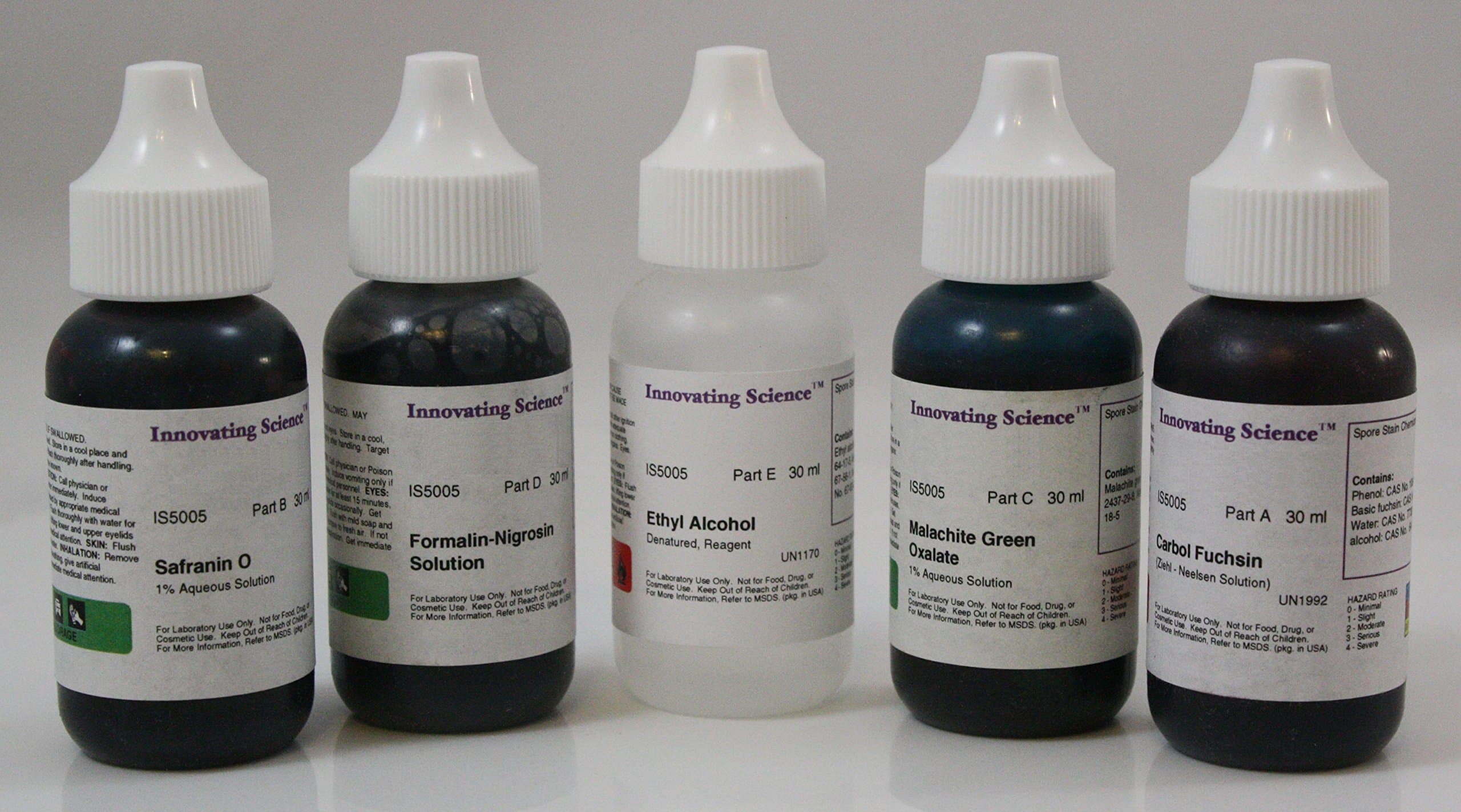 Endospores & Bacteria Spore Stain Kit for Microscope Slide Staining, w/5 Stains