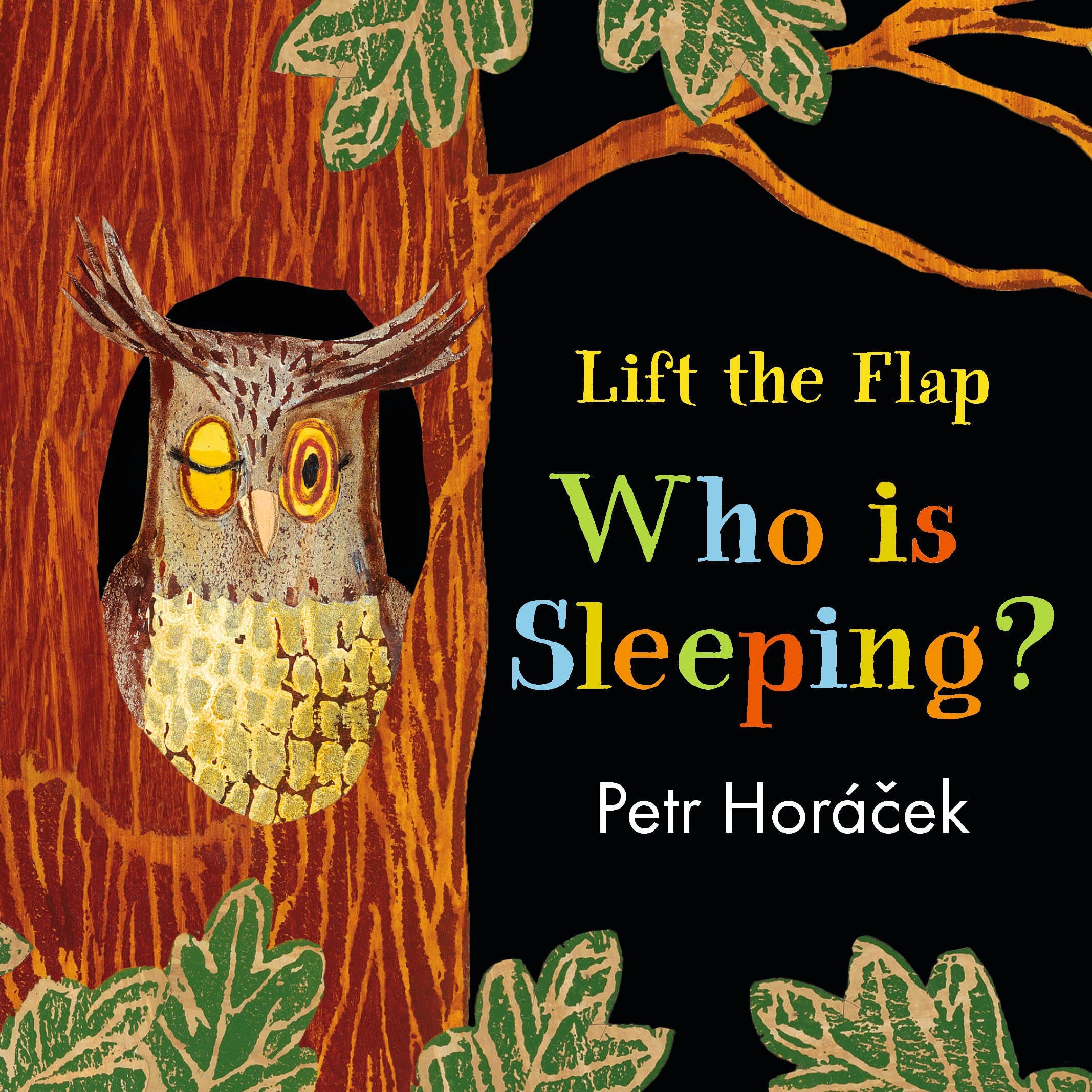 Who Is Sleeping? (Lift the Flap)