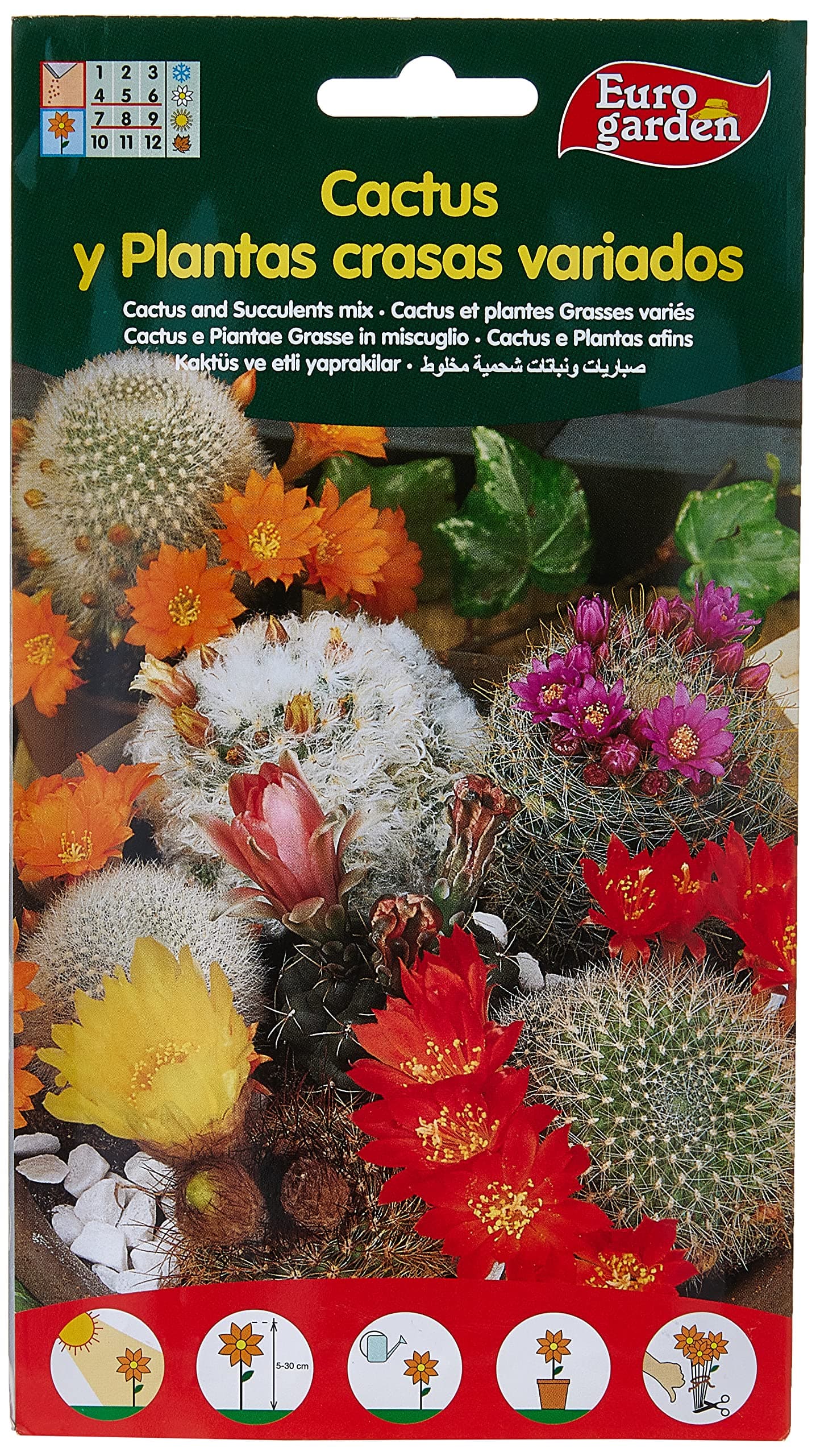 Euro Garden Cactus succulent mix