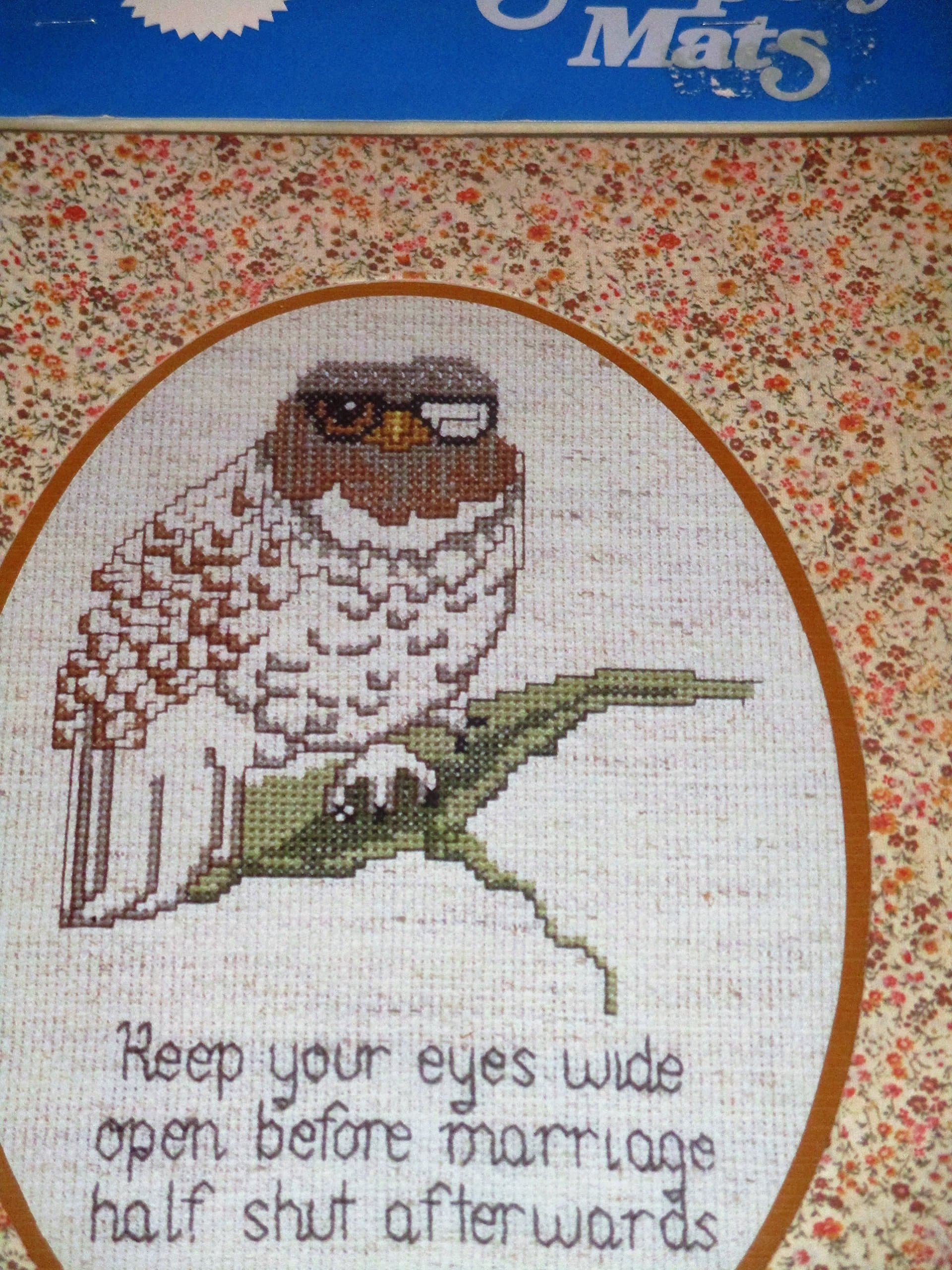 Keep Your Eyes Wide Open Before Marriage Half Shut Afterwards ... Owl Counted Cross Stitch Kit w/ Matting ... 9 x 12