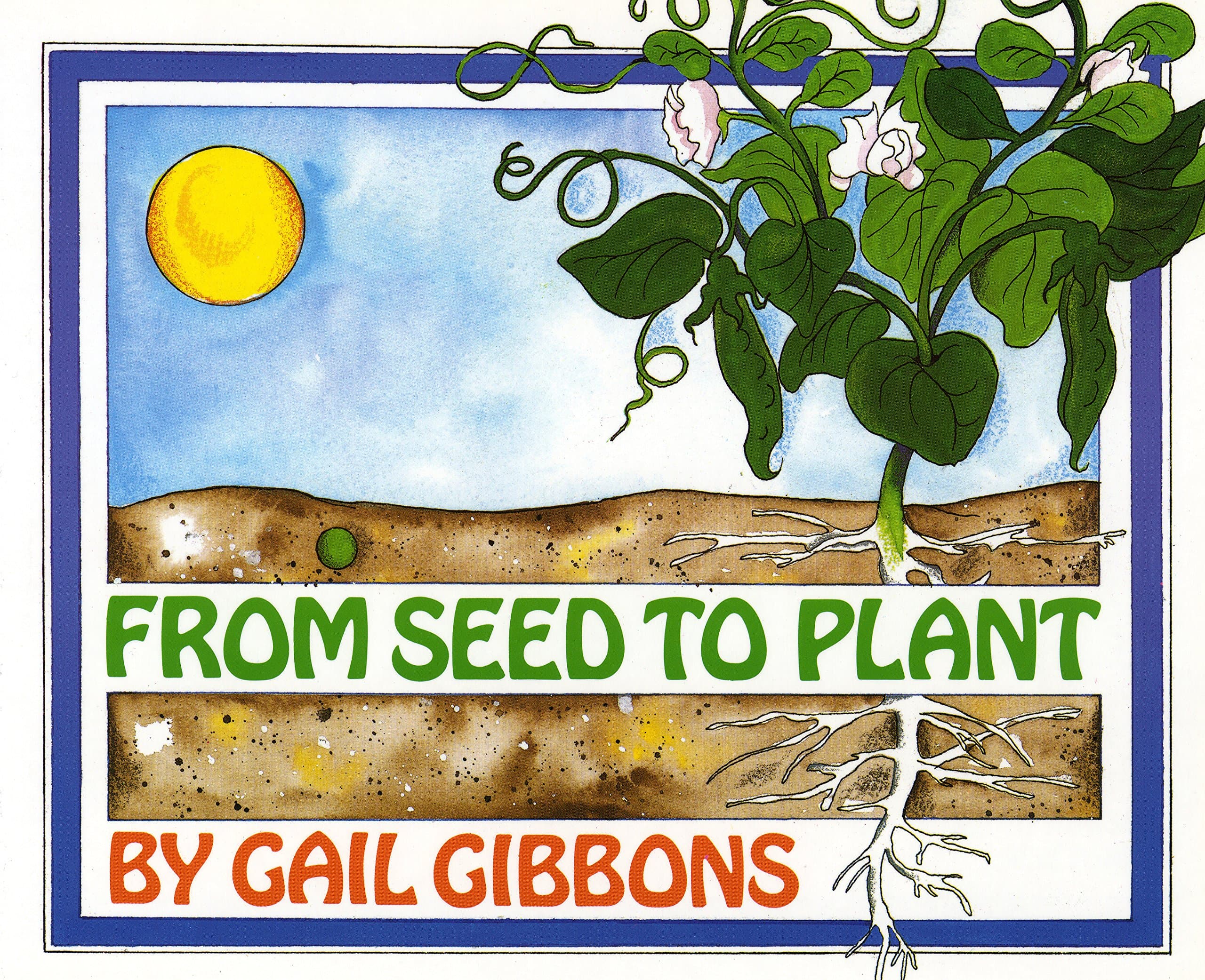 From Seed to Plant Kindle Edition