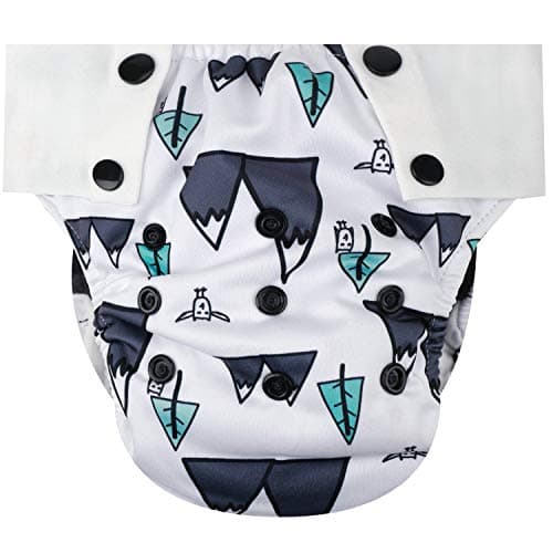 HappyEndings Toddler/Kid Pull On Reusable Cloth Diapers/Training Pants (Medium, (Fits 35-50lbs), Mountains)