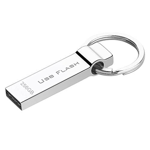 RUICHENXI Waterproof 256GB USB Flash Drive Pen Drive Memory USB Stick with Keychain (256gb)