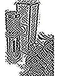 Airless Opaque Vacuum Pump Refillable Bottle by OBENGLAS with side viewing panels, Best UV and Oxygen Protection, 30ml or 15ml (30 ML, Silver)