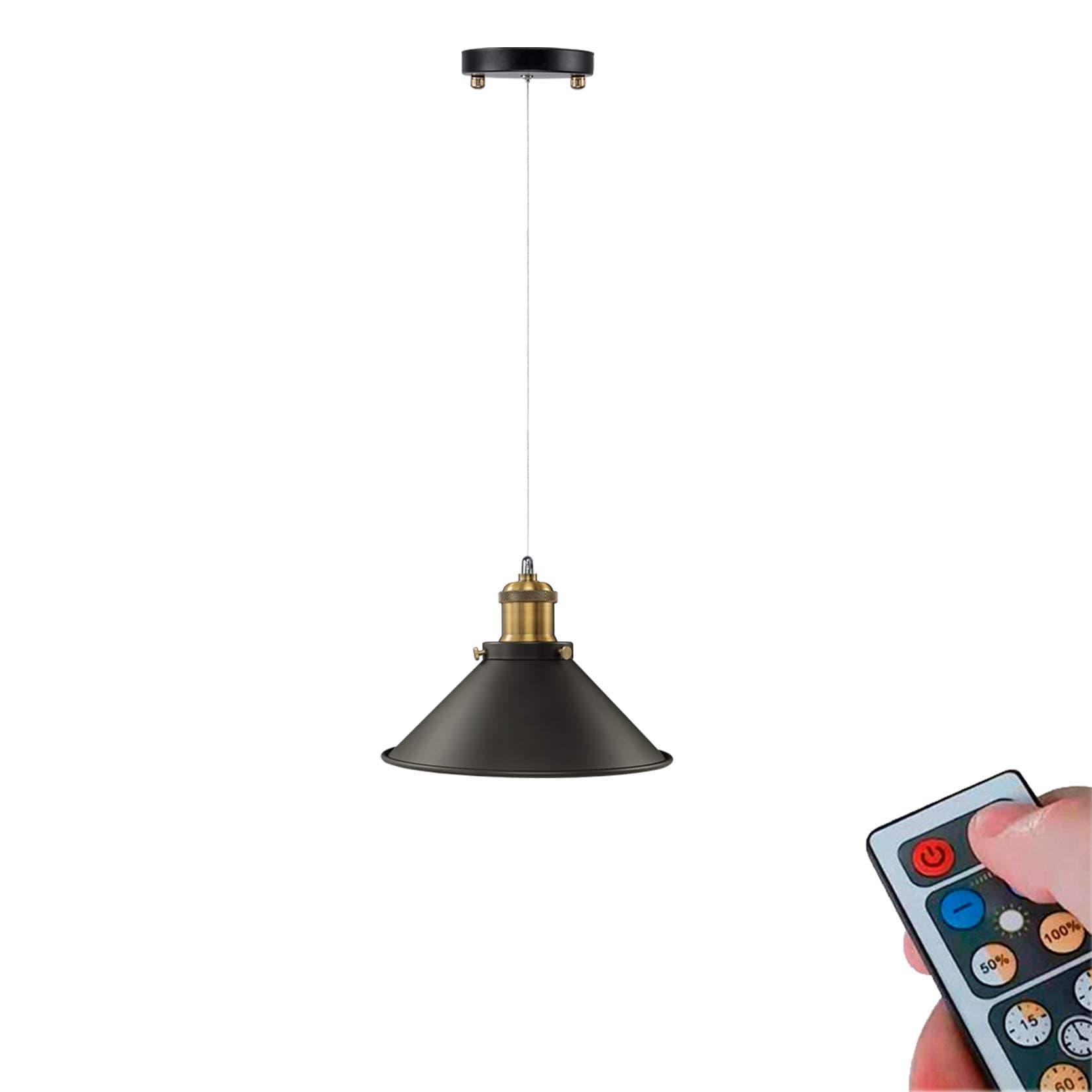ANYE 1-Light 55 Lumens Led Not Hardwired Remote Control Battery Run Indoor Outdoor Iron Wire Vintage Black Pendant Light for Aisle Bedroom-Easy Installation, Dimmable Control,Battery Not Included