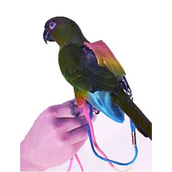 Small FlightSuit (Bird Diaper) w/Lanyard plus Flightliners