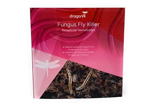 Sciarid/Fungus Fly Killer Nematodes 10 Square Metre Pack