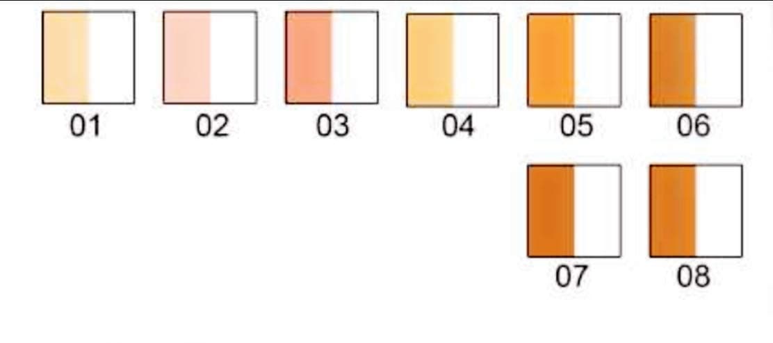 by (Germany) Double Effect Base Serum & Foundation Cream - Professional's Choice FDF 07