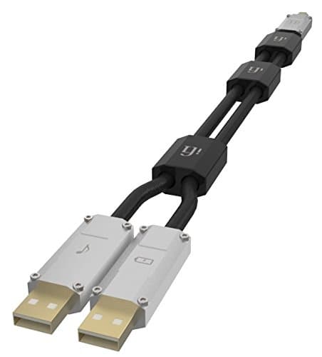 IFI Audio Gemini Dual Power USB Cable 1.5 m Silver
