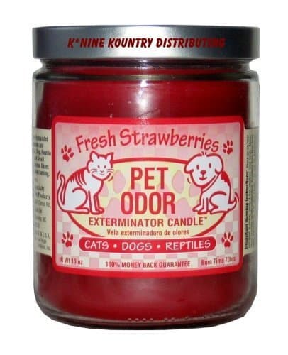Fresh Strawberries Pet Odor Exterminator Candle