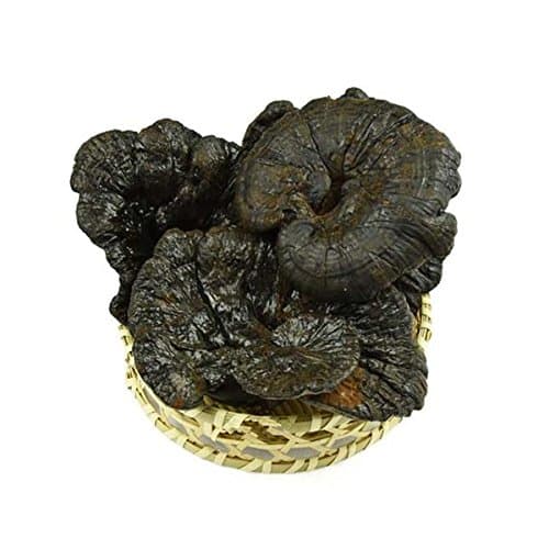 Changbai Mountain wild Ganoderma lucidum Ganoderma lucidum medicinal herbs in 500g of post pruning