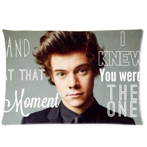 Custom Harry Styles 1D One Direction Pattern 04 Pillowcase Cushion Cover Design Standard Size 20X30 Two Side
