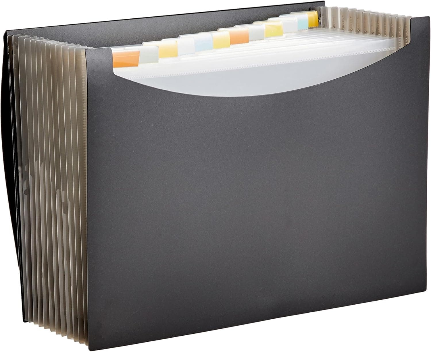 Amazon Basics Expanding File, A4 Size - Black