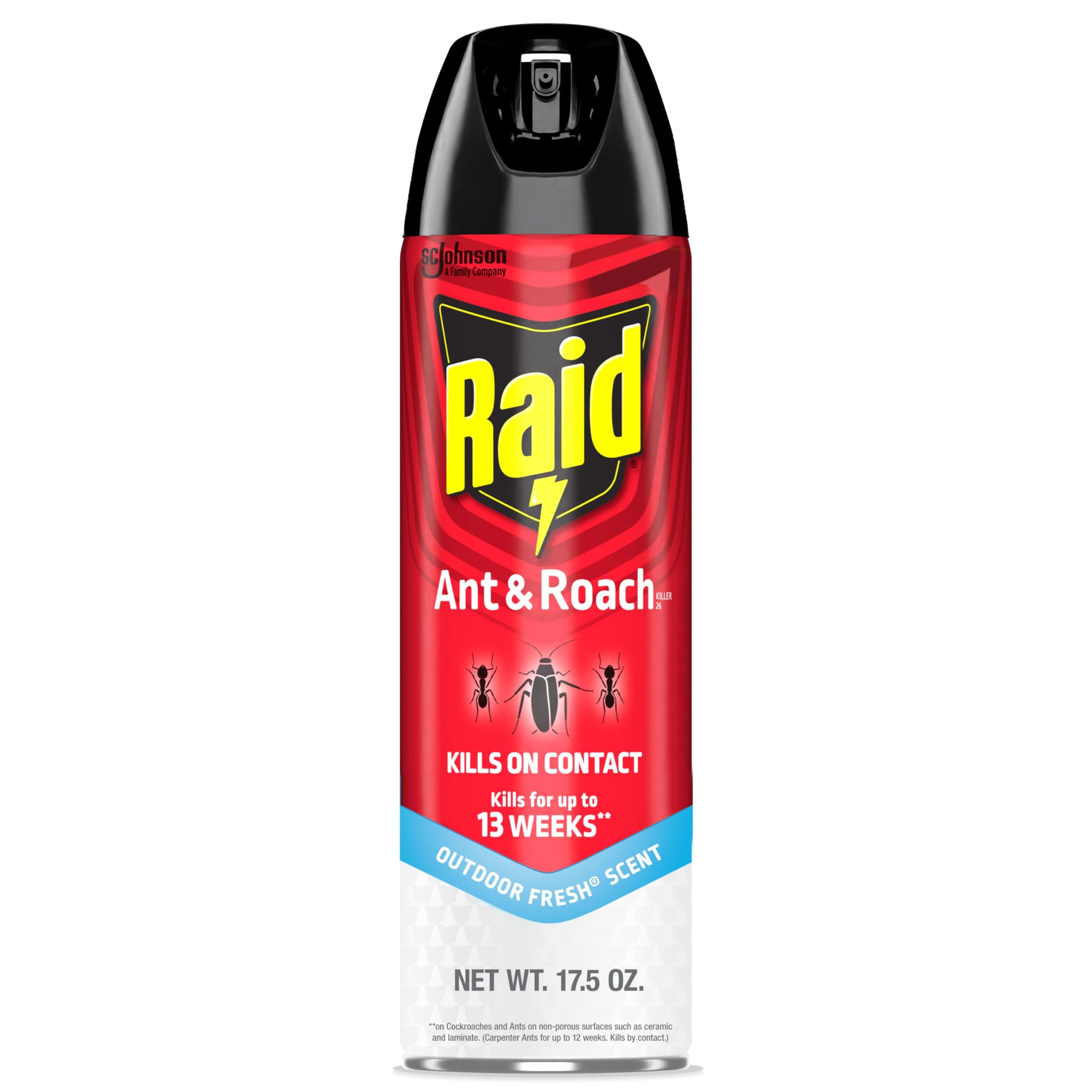 Raid Ant & Roach Killer Spray For Listed Bugs, Keeps Killing for Weeks, Fresh Scent, 17.5 oz