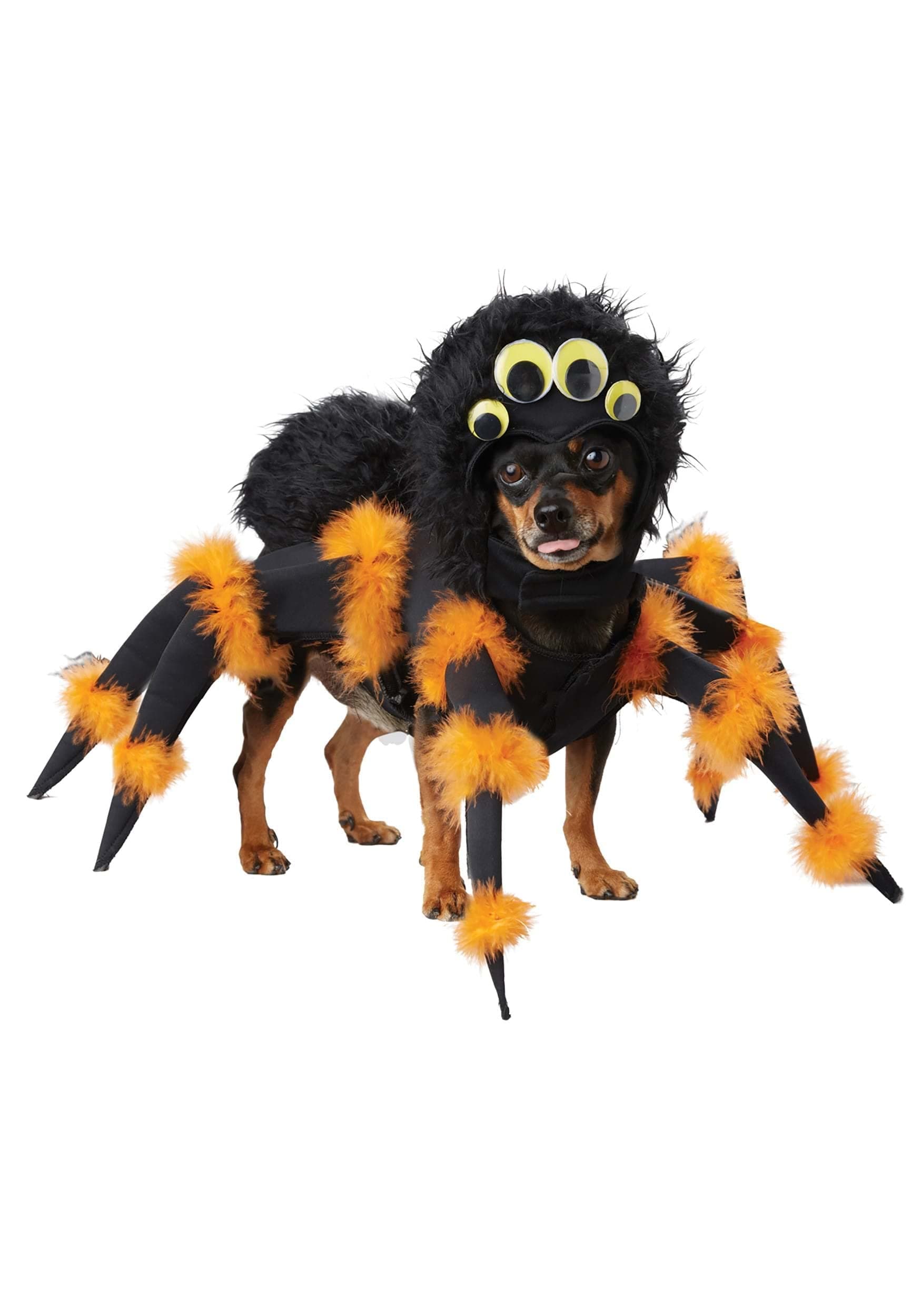 Spider Pup, Dog Costume Small