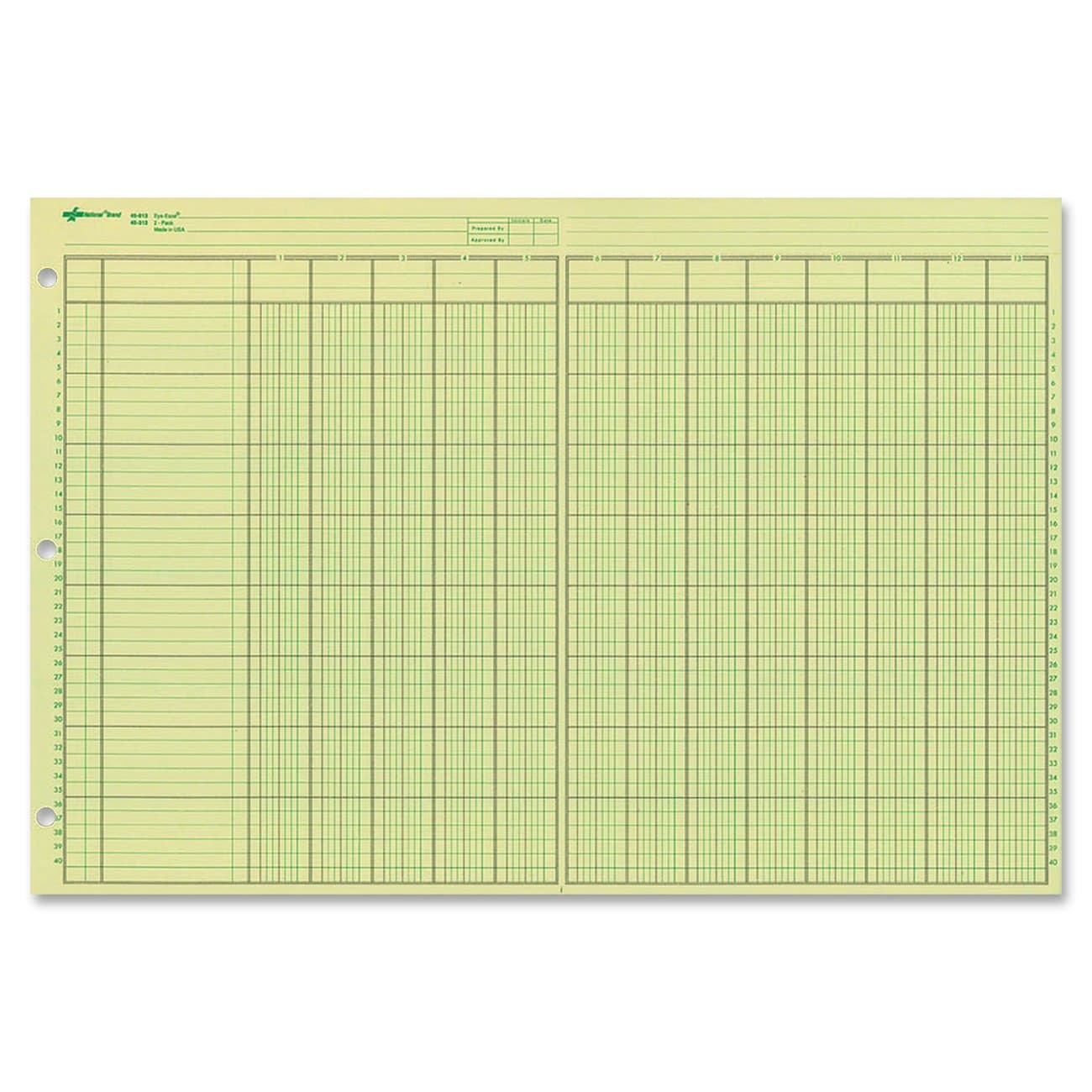 National Analysis Pad, 13 Columns, Green Eye-Ease Paper, Numbered Lines, Side-Punched, 11" x 16.375", 50 Sheets (45613)