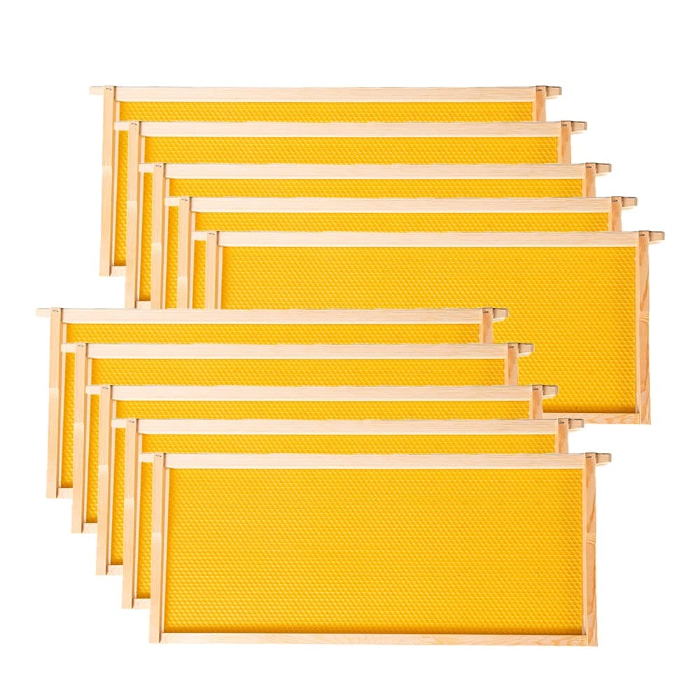 10 Pack Deep Bee Frames with Foundation Sheets