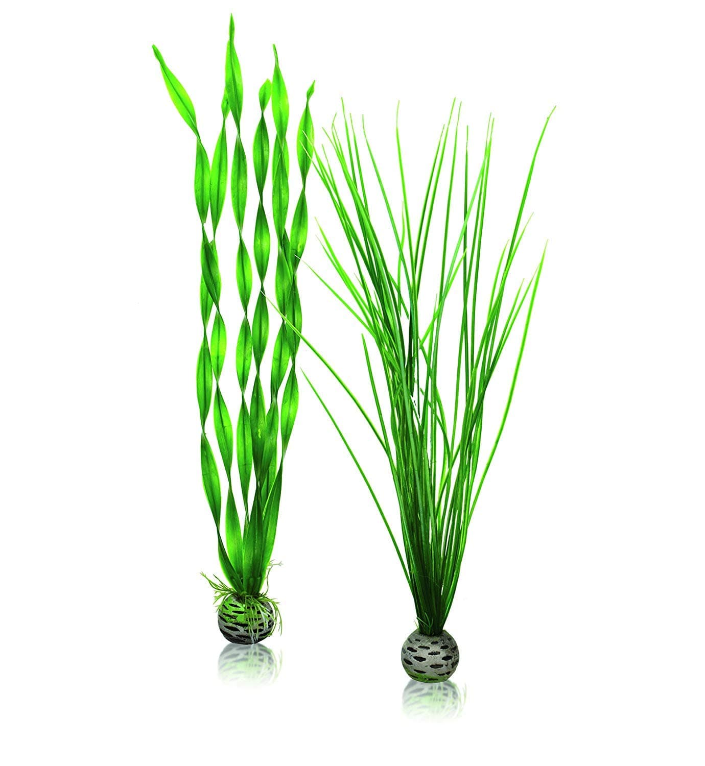 biOrb Plant Set L green