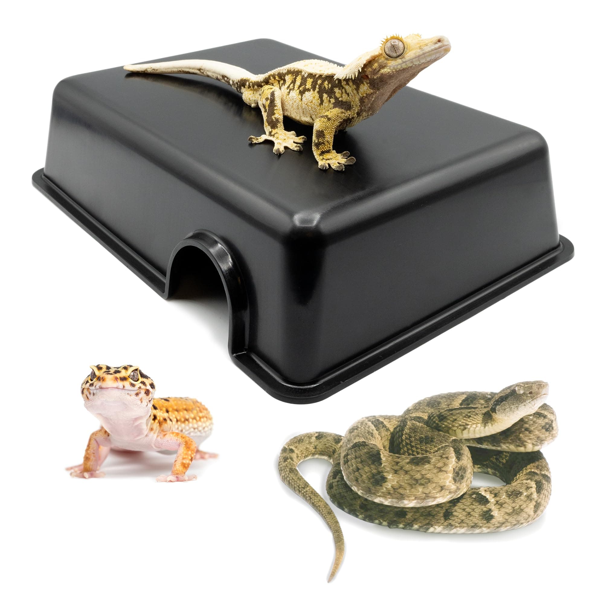 Pangea Reptile Hide Box (C- Medium), Black