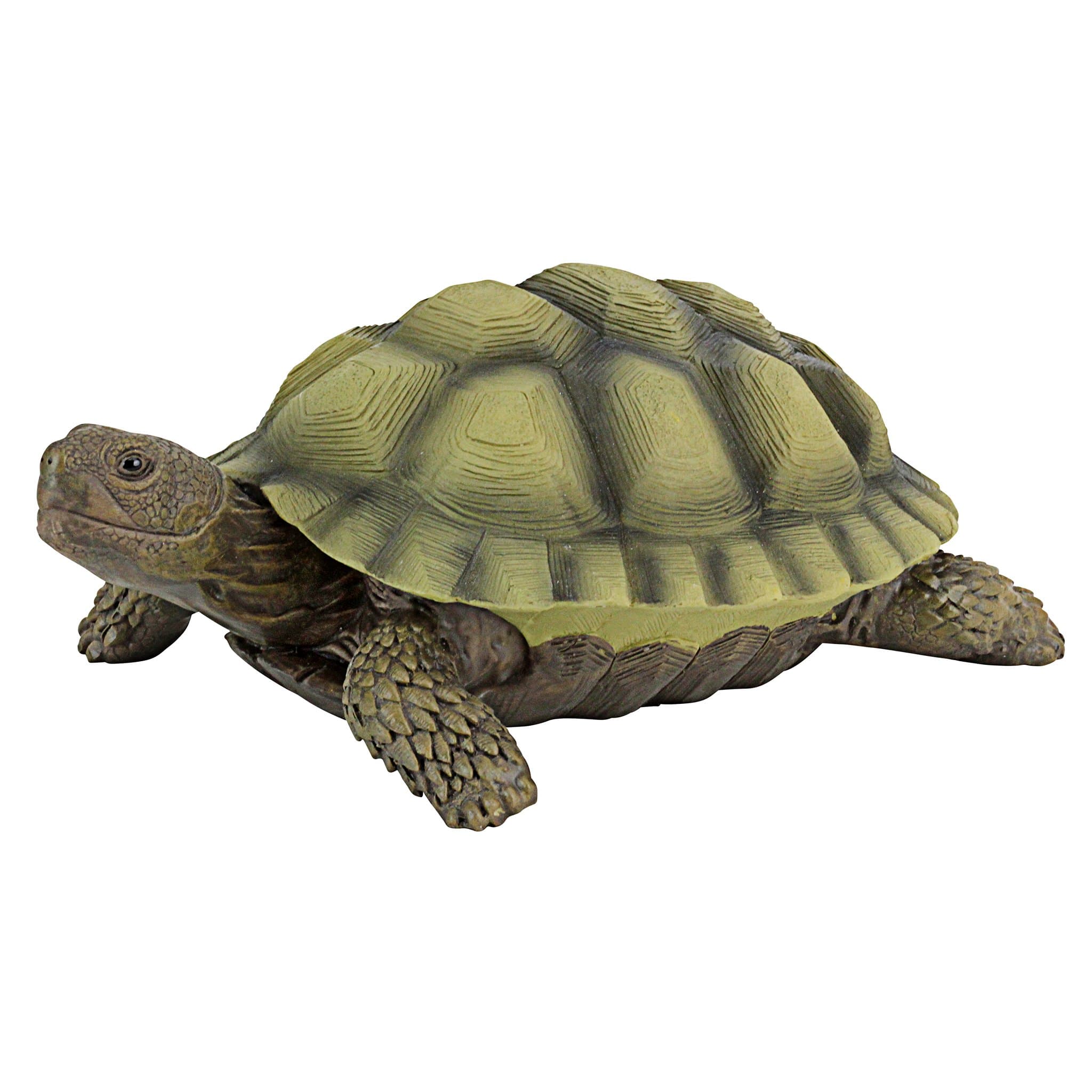 Design Toscano Gilbert, the Box Turtle Statue, Resin, Statue, Turtle, Full Color
