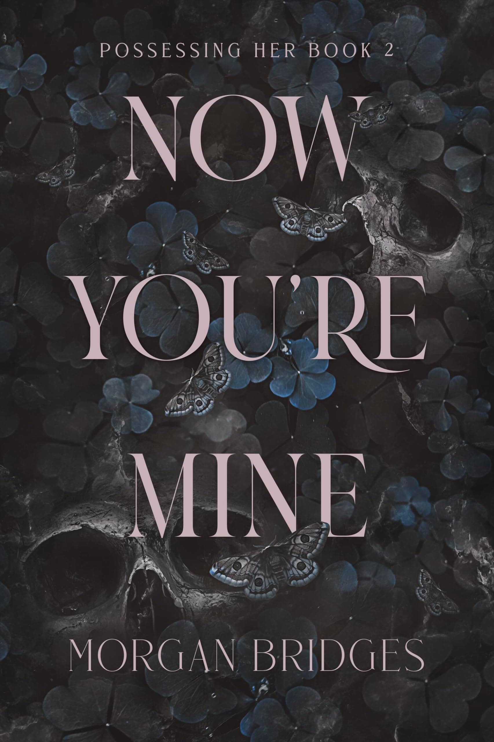 Now You're Mine: A Dark Stalker Romance (Possessing Her)